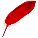 iCalamus feather large