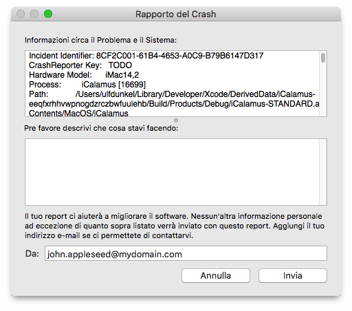 Rapporto del Crash